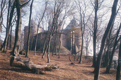 Vista del Castello Coch, Galles del Sud, dai boschi da Unbekannt Unbekannt