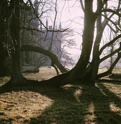 Veduta della Facciata Nord, Corsham Court, Wiltshire da Unbekannt Unbekannt