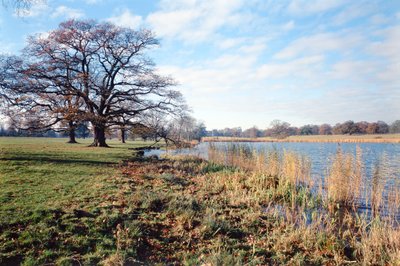 Vista del lago, Corsham Court, Wiltshire da Unbekannt Unbekannt