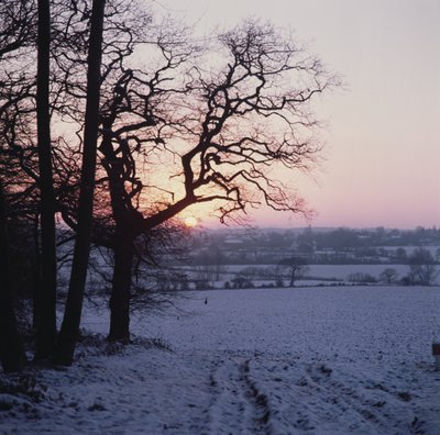 Scena invernale nella neve, Hockley, Essex da Unbekannt Unbekannt