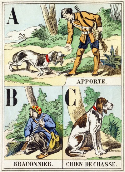 A B C: Porta, Bracconiere, Cane da caccia - L