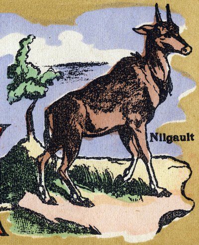 Un Nilgault. Alfabeto illustrato. Imagerie riunite a Jarville-Nancy, inizio XX secolo. Dim: 40 x 29 cm. Litografia su sfondo bistro da Unbekannt