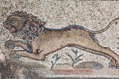 Un leone - Dettaglio di un fregio che raffigura scene di caccia accanto al pannello che rappresenta il primo bagno di Achille - Mosaici di Paphos, Villa di Teseo, V secolo d.C. - Cipro da William M. Timlin