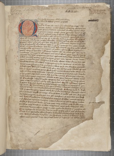 Trascrizione delle opere filosofiche di Marco Tullio Cicerone, c.1480 da Unbekannt