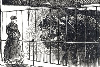 Una donna ai Giardini della Società Zoologica di Regent