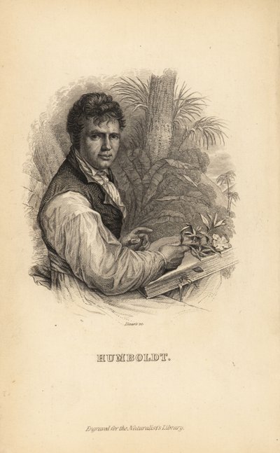 Alexander von Humboldt, esploratore, naturalista e botanico tedesco da Unbekannt