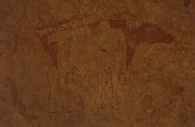 Algeria, deserto del Sahara, Parco Nazionale di Tassili-n-Ajjer, sito di Sefar, pittura rupestre che raffigura un toro da William M. Timlin