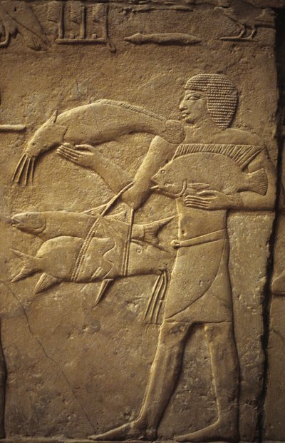Antico Egitto: Saqqara: necropoli dell