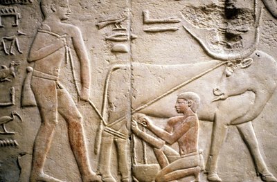 Antico Egitto: Saqqara: necropoli dell