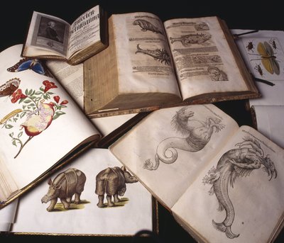 Libri di zoologia antica da Unbekannt