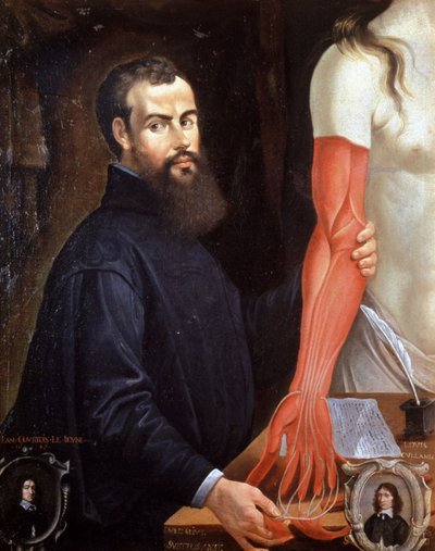 André Vésale (1514-1564) medico fiammingo, padre dell