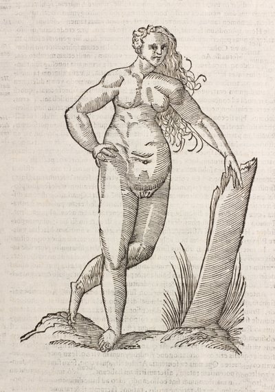 Androgino da Unbekannt