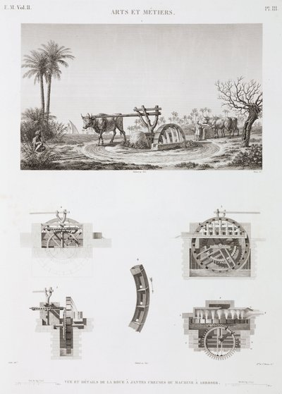Irrigazione a energia animale, Egitto, c. 1798 da Unbekannt