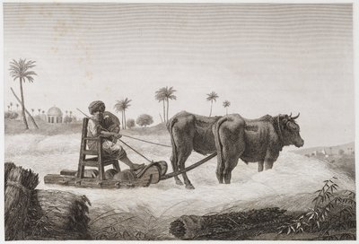 Agricoltura arabile, raccolta Trebbiatrice, Egitto, c. 1798 da Unbekannt