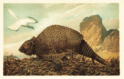 Archaeopteryx lithographica e Panochthus tuberculatus. 1908 da Unbekannter Künstler