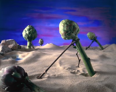 Art-ichoke (Dali) 1996 (foto) da Unbekannter Künstler