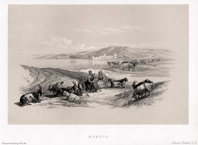 Ashdod di David da Unbekannter Künstler