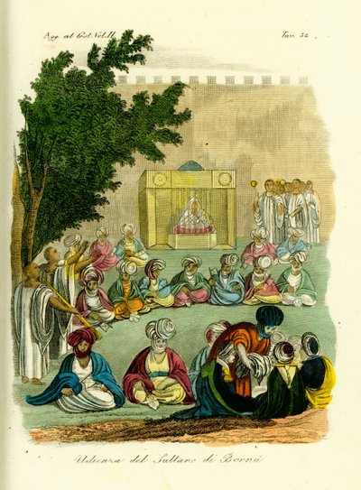 Udienza con il Sultano di Bornu da Unbekannt