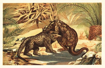 Battaglia tra un Megalosaurus bucklandii e un Iguanodon bernissartensis. 1908 (litografia) da Unbekannter Künstler