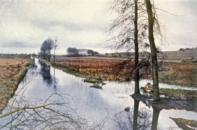 Battaglia della Marna, paludi di Saint Gond da Unbekannter Künstler