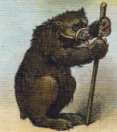 Orso. Incisione in "Alfabeto della mia bambina". Bernardin-Bechet e Fils, librai-editori, Parigi, circa 1895. Album infrangibile su tela. Biblioteca dei Bebè. 12 pagine. Album contenente un metodo di lettura e un abecedario illustrato. Dim: 29, da Unbekannt
