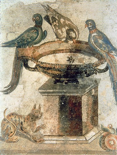 Uccelli e un gatto in agguato, da Pompei da Unbekannter Künstler