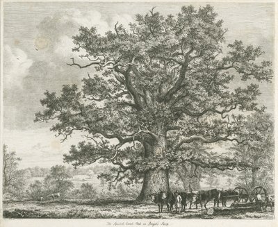 Blithfield - Quercia Squitch-bank da Unbekannt