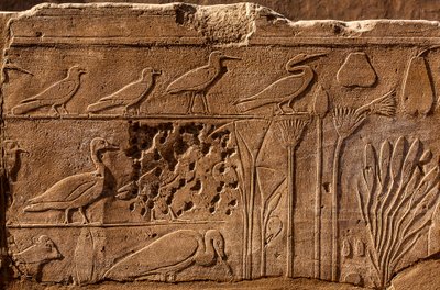 Giardino Botanico di Thutmosis III con rilievi di piante e animali, Tempio di Karnak, Luxor, Tebe, Egitto, Africa da Unbekannter Künstler