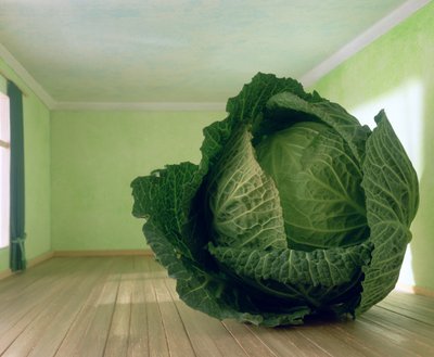 Cavolo (dopo Magritte) da Unbekannter Künstler
