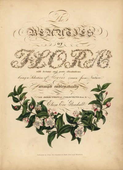 Pagina del titolo calligrafica con vignetta botanica da Unbekannt