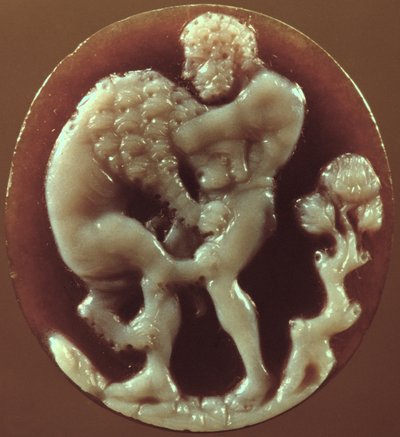 Cammeo di Ercole e il leone di Nemea da Unbekannt