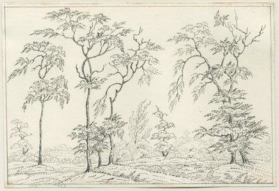 Cannock Chase: disegno a penna e matita, nd [?XIX sec] da Unbekannt