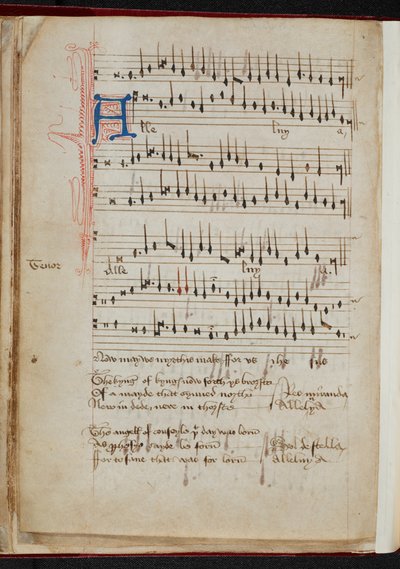 Canto per la Natività: 