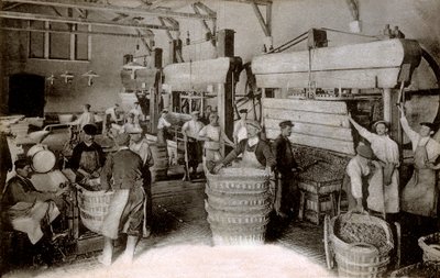 Champagne: pressatura dell