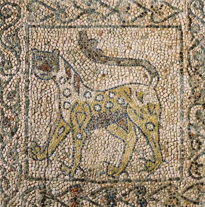 Chiesa di San Giovanni Evangelista, Quarta Crociata, Frammenti di pavimenti a mosaico rappresentanti una pantera maculata, Ravenna, Emilia-Romagna, Italia da William M. Timlin