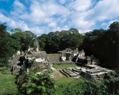 Civiltà precolombiana: vista del sito Maya di Uaxactun da Alec Hunter