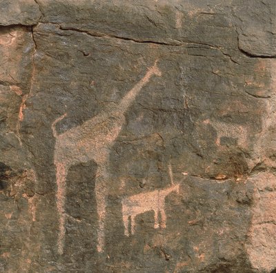 Primo piano di pitture preistoriche, Deserto del Teneré, Niger da Benjamin Baud