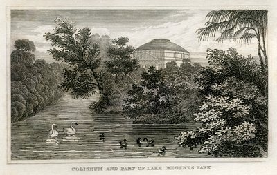 Colosseo e lago, Regent