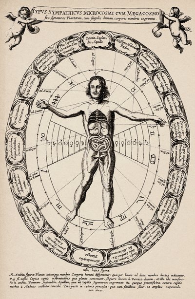 Corrispondenza tra microcosmo e macrocosmo. Tavola tratta da "Mundus subterraneus" di Athanase Kircher da Unbekannter Künstler