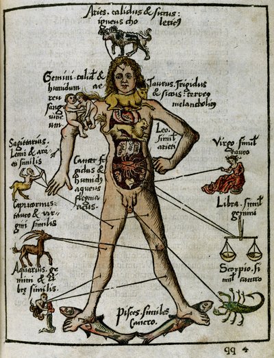 Cosmografia del XVI secolo: l