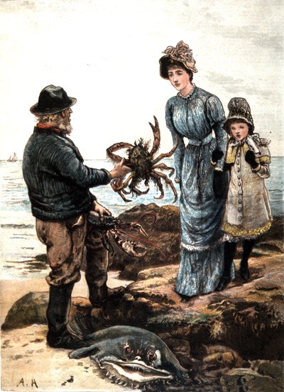 Pesca dei granchi sulla costa inglese (illustrazione) da Unbekannter Künstler