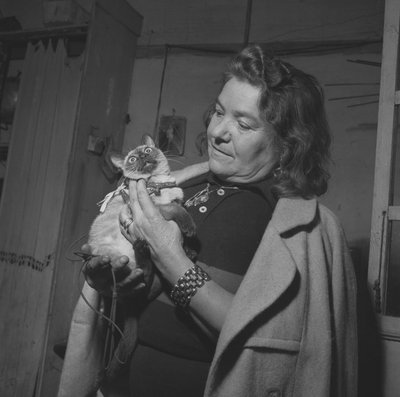 Ciclista Alfonsina Strada (Alfonsa Rosa Maria Morini) da Unbekannter Künstler