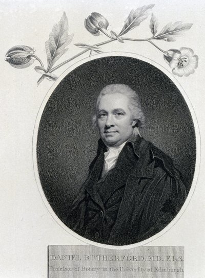 Daniel Rutherford, chimico e botanico scozzese, inizio XIX secolo da Unbekannt
