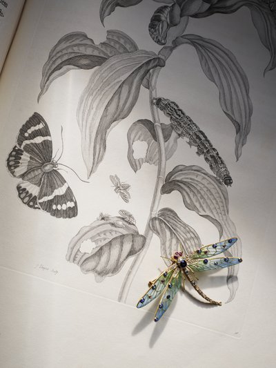 Gioielli di insetti e bug di Deborah Devonshire sopra 
