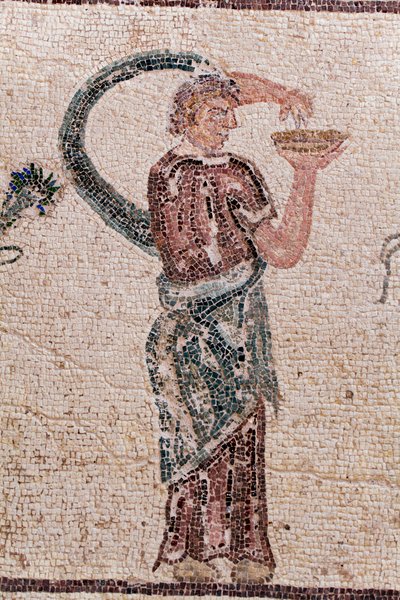 (dettaglio) Il trionfo di Dioniso - Ritorno del dio da una spedizione militare in India - Una Baccante che tiene una ciotola per libagioni - Mosaici di Paphos, Casa di Dioniso, Fine del II secolo d.C. - Cipro da William M. Timlin