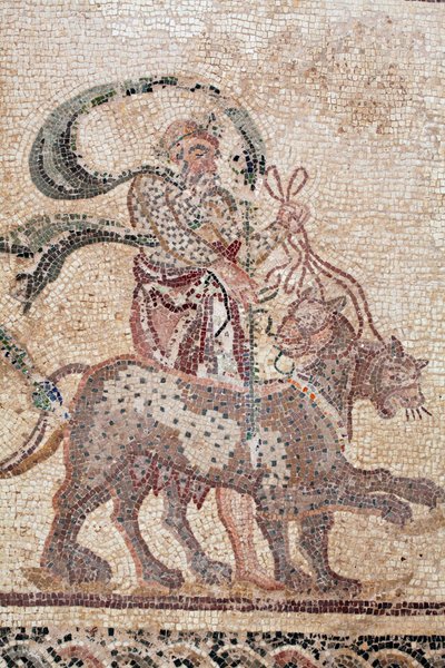 (dettaglio) Il trionfo di Dioniso - Ritorno del dio da una spedizione militare in India - Sileno che tiene le redini delle pantere - Mosaici di Paphos, Casa di Dioniso, Fine del II secolo d.C. - Cipro da William M. Timlin
