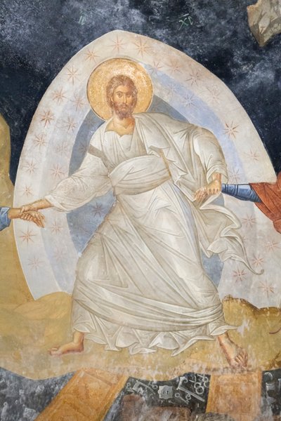 (dettaglio) dell