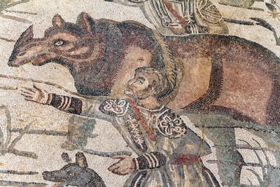 Dettaglio del mosaico della grande caccia. Un rinoceronte viene condotto su una barca per essere trasportato al porto più vicino. III - IV secolo. Villa Romana del Casale, Sicilia. Sito UNESCO. da William M. Timlin