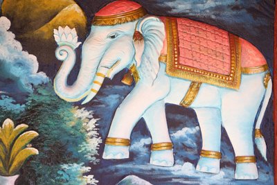 Elefante devoto, Siem Reap, Cambogia da Unbekannt