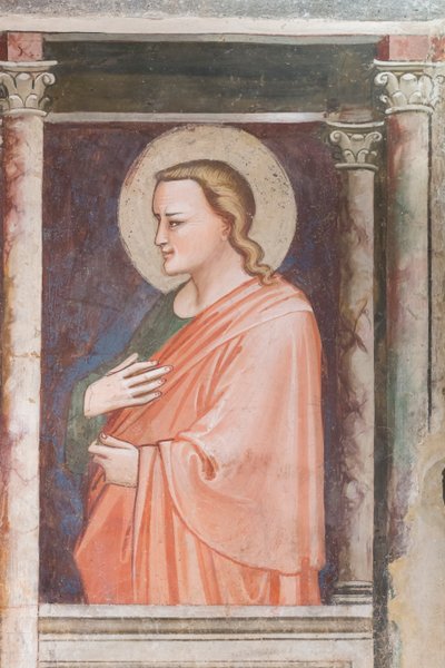 Esposizione nelle volte del museo della cattedrale di Prato, Italia da Unbekannter Künstler
